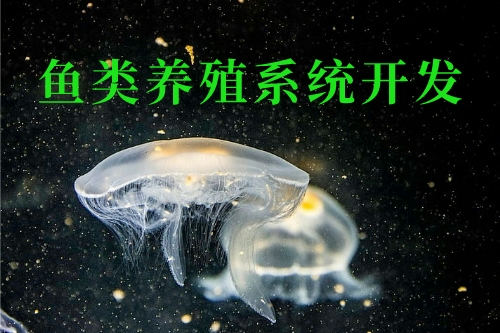 魚類養殖系統開發的優勢功能(圖1)