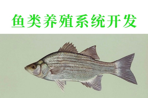 魚類養殖系統開發的優勢功能(圖2)