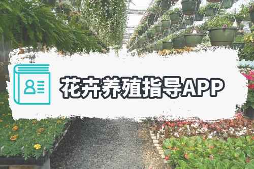 花卉養(yǎng)殖指導(dǎo)APP涵蓋哪些功能(圖1)