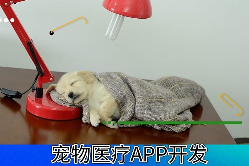 德州寵物醫療APP開發有什么功能模塊(圖1)