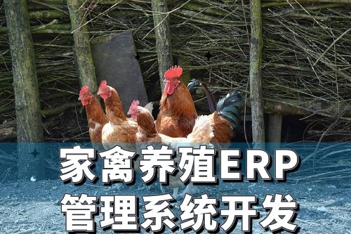 家禽養(yǎng)殖行業(yè)ERP管理系統(tǒng)開(kāi)發(fā)有哪些好處(圖2)
