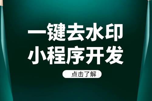 德州一鍵去水印小程序開發方案及功能介紹(圖2)