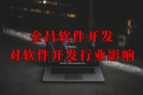 金昌軟件開(kāi)發(fā)對(duì)軟件開(kāi)發(fā)行業(yè)的影響及發(fā)展趨勢(shì)