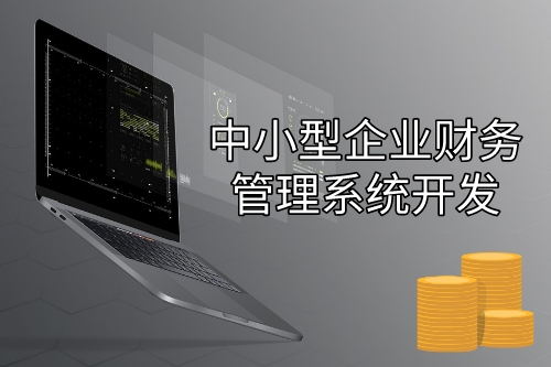 中小型企業(yè)財(cái)務(wù)管理系統(tǒng)開發(fā)設(shè)計(jì)思路(圖1)