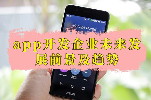 app開發企業未來發展前景及趨勢