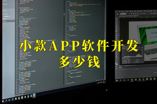 德州小款APP軟件開發多少錢