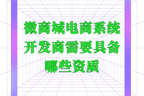 微商城電商系統開發商需要具備哪些資質