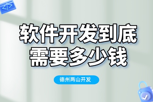 軟件開發(fā)到底需要多少錢？揭秘軟件公司真實(shí)報價(圖2)